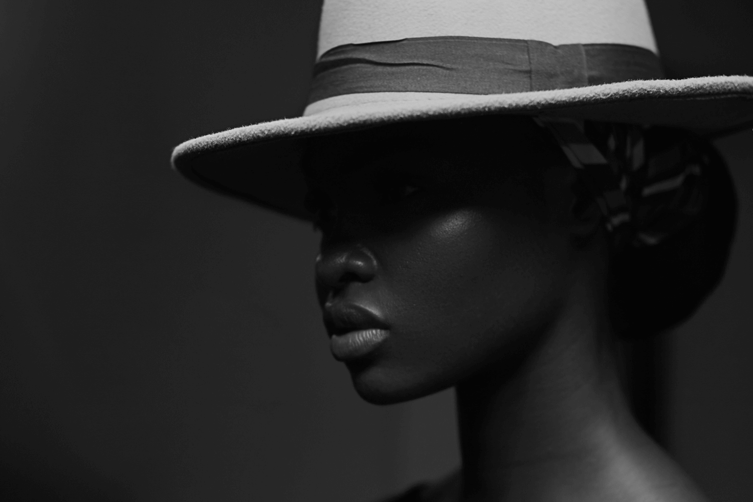 A woman in silhouette with sassy had looks on.